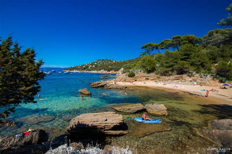 Secret paradise: Europe’s only nudist island, Le Levant